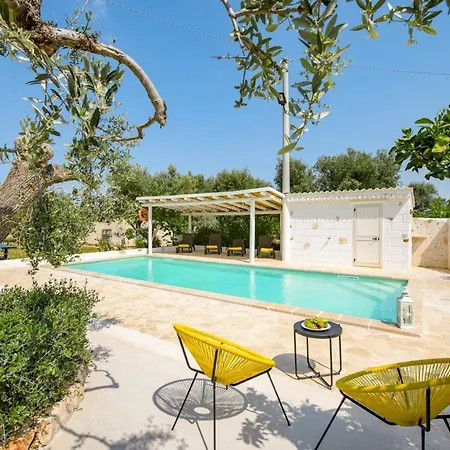 فيلة Bufano By Plus *